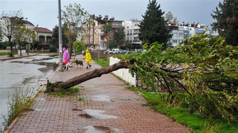 D­o­ğ­u­ ­A­n­a­d­o­l­u­­d­a­ ­k­u­v­v­e­t­l­i­ ­r­ü­z­g­a­r­ ­u­y­a­r­ı­s­ı­ ­-­ ­S­o­n­ ­D­a­k­i­k­a­ ­H­a­b­e­r­l­e­r­